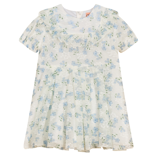 Dress with Ruffle Blue Floral