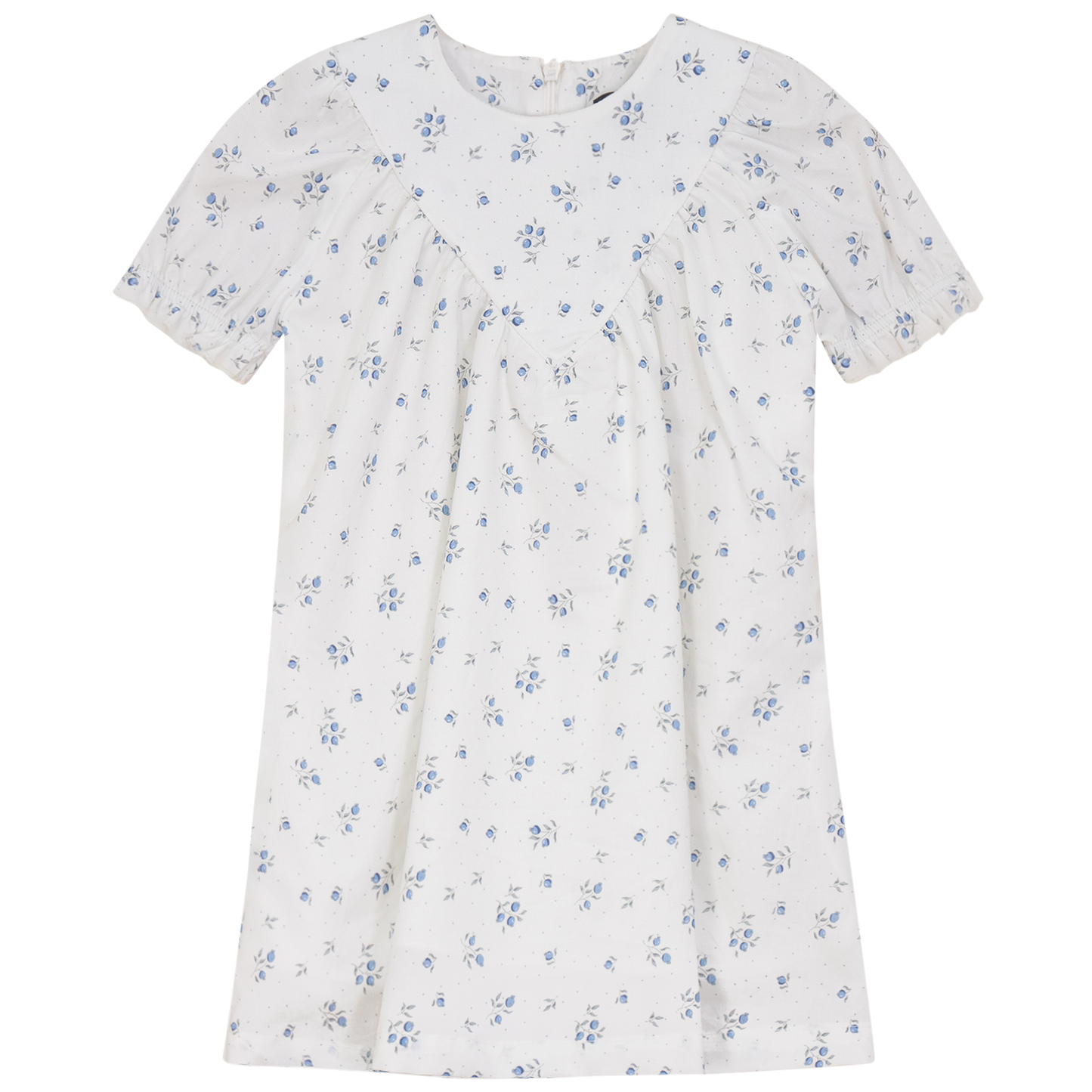 Blueberry Printed Dress White Blue