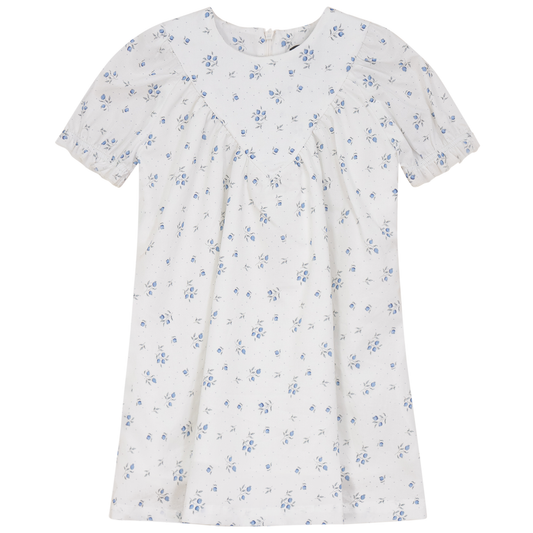 Blueberry Printed Dress White Blue