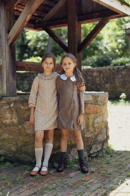 Contrast Collar Dress