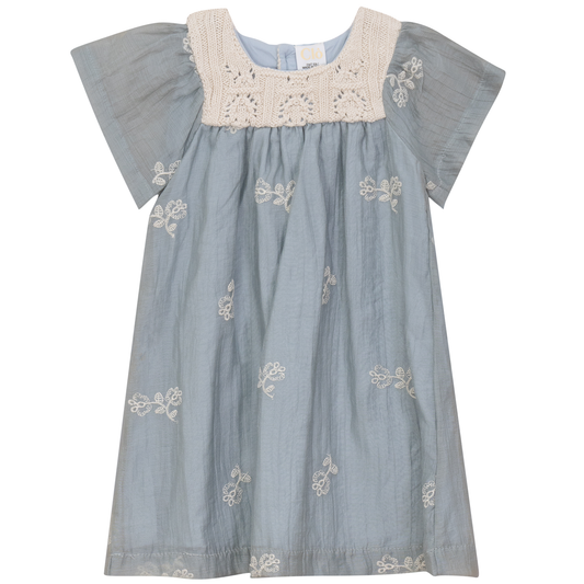Flower Embroidered Dress Blue