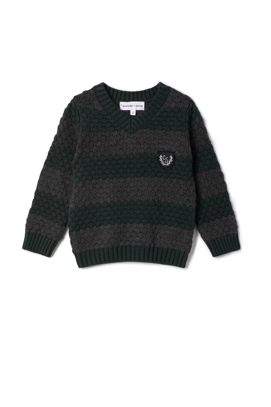 Striped Knit Vneck Sweater Forest Charcoal