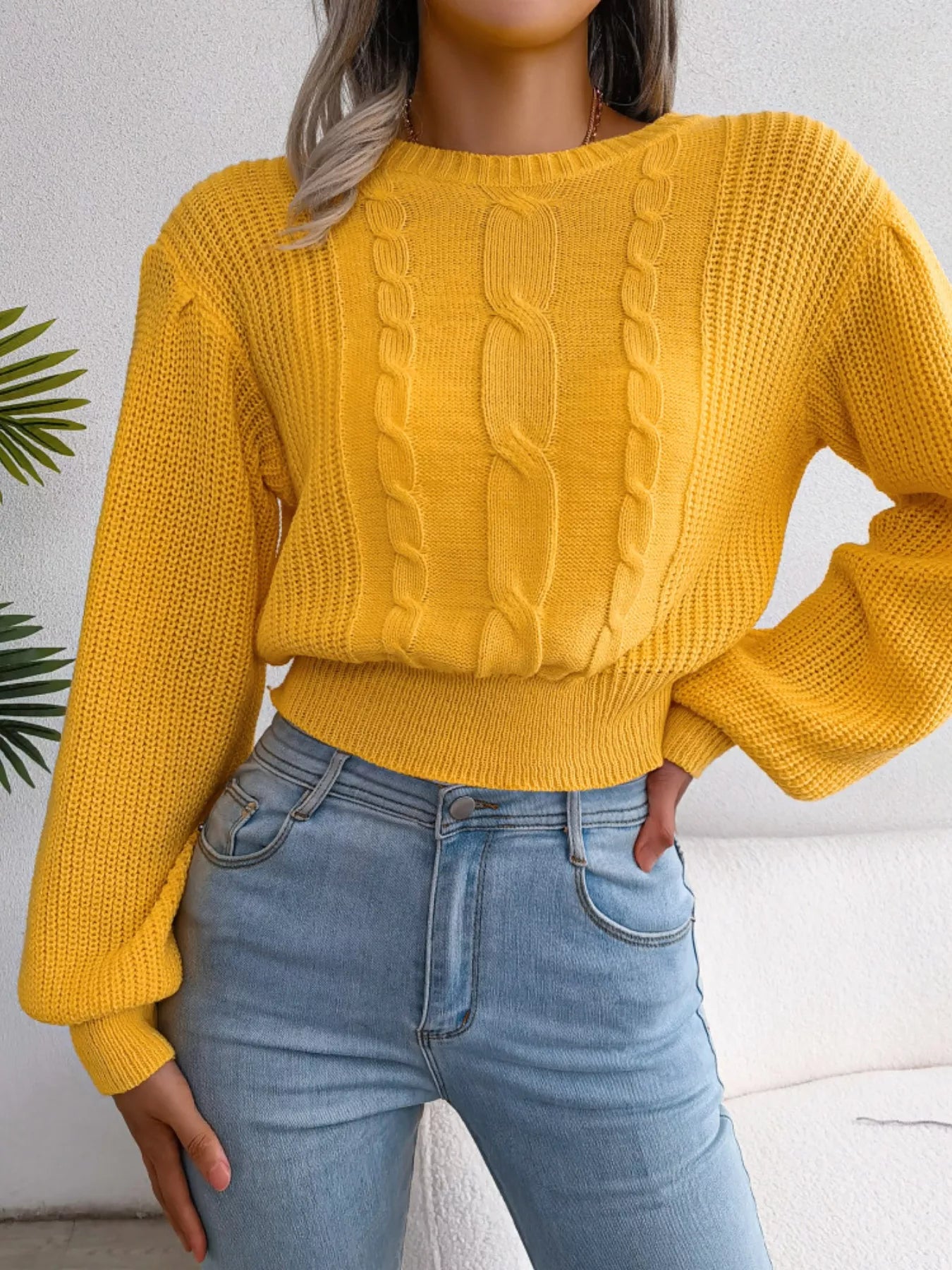 Cable Knit Round Neck Cropped Sweater