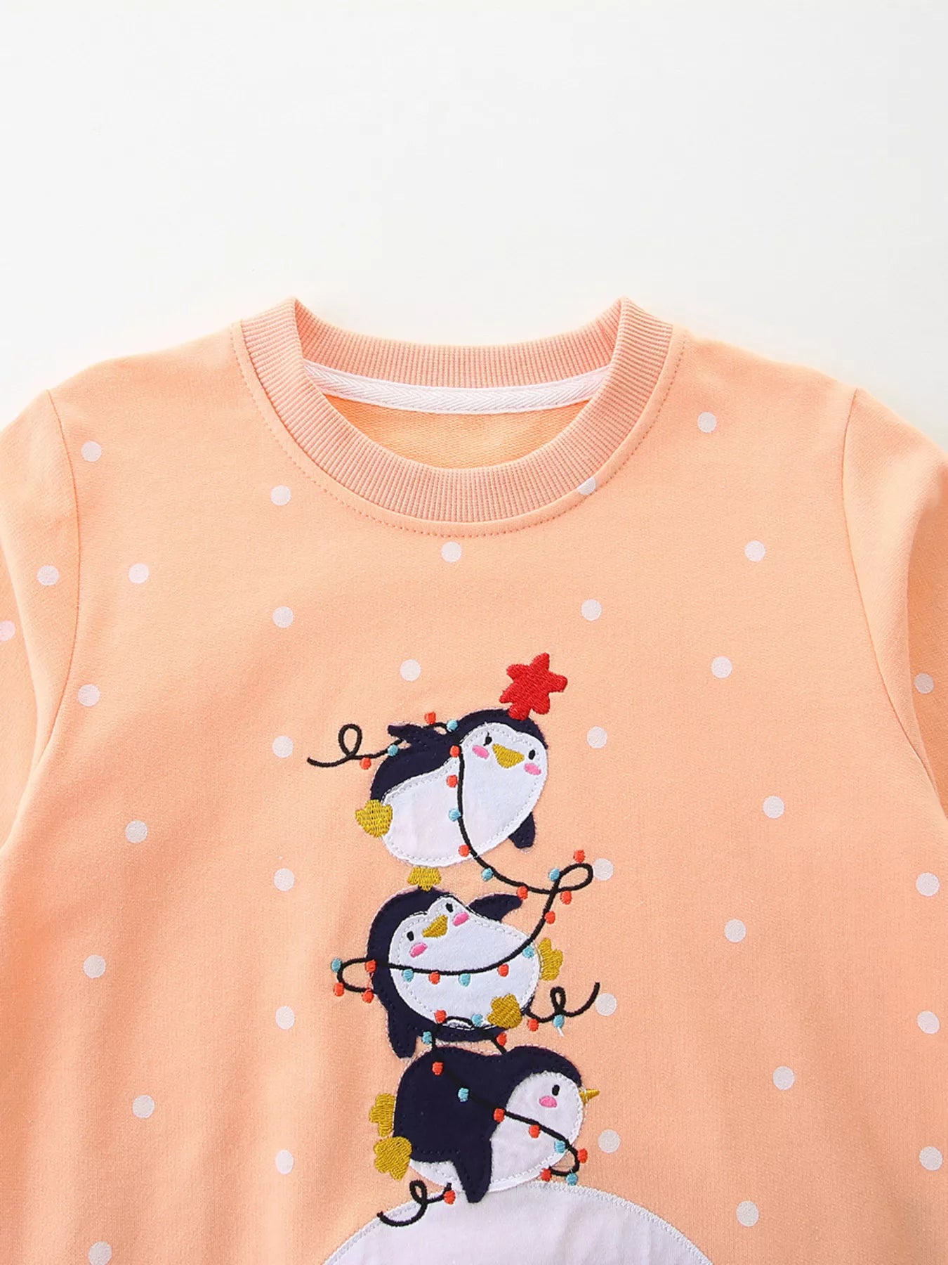 Children's Penguin Round Neck Sweatshirt