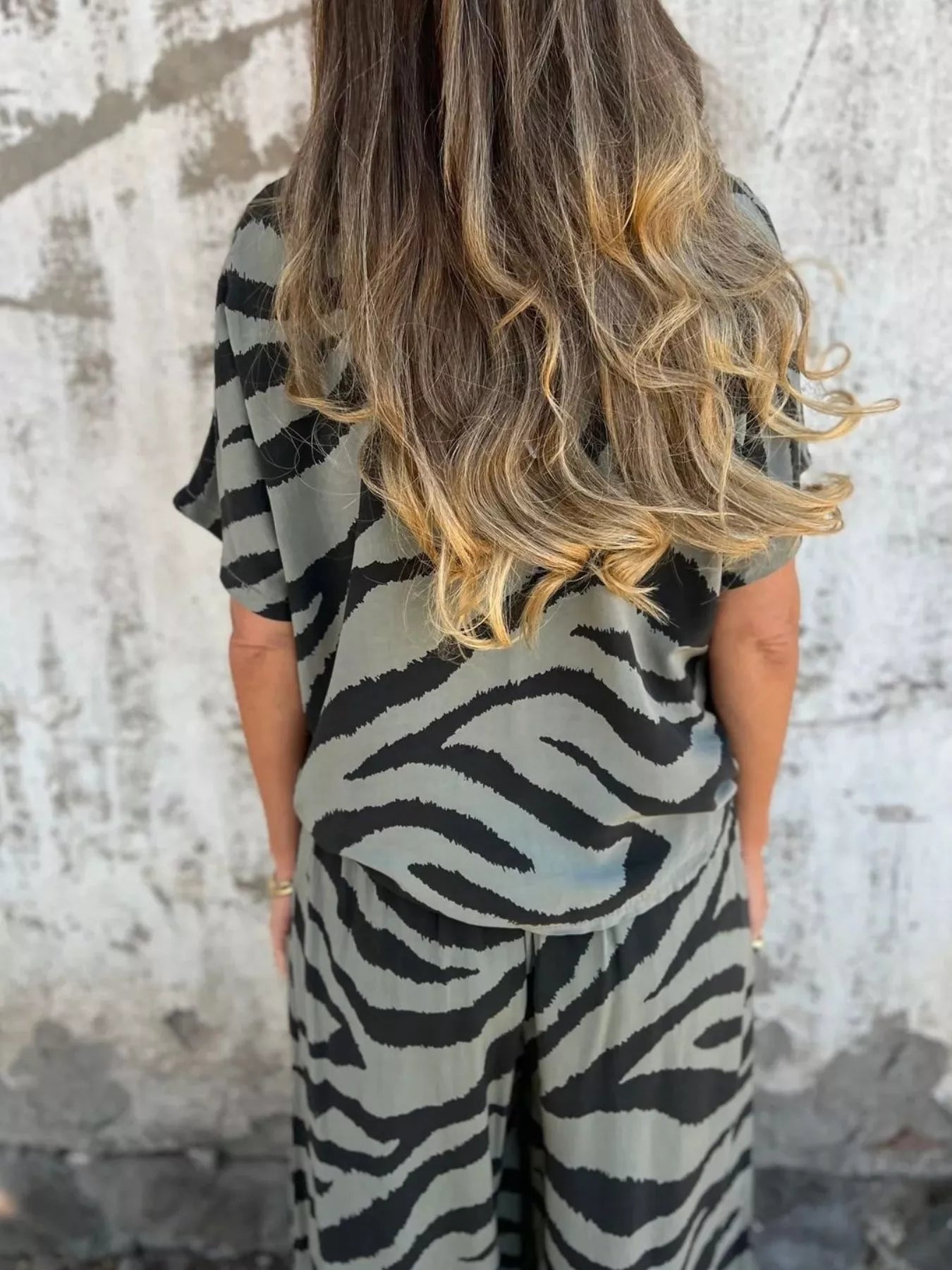 Zebra Print V-Neck Top and Pants Set