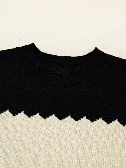 Color Block Crew Neck Drop Shoulder Sweater