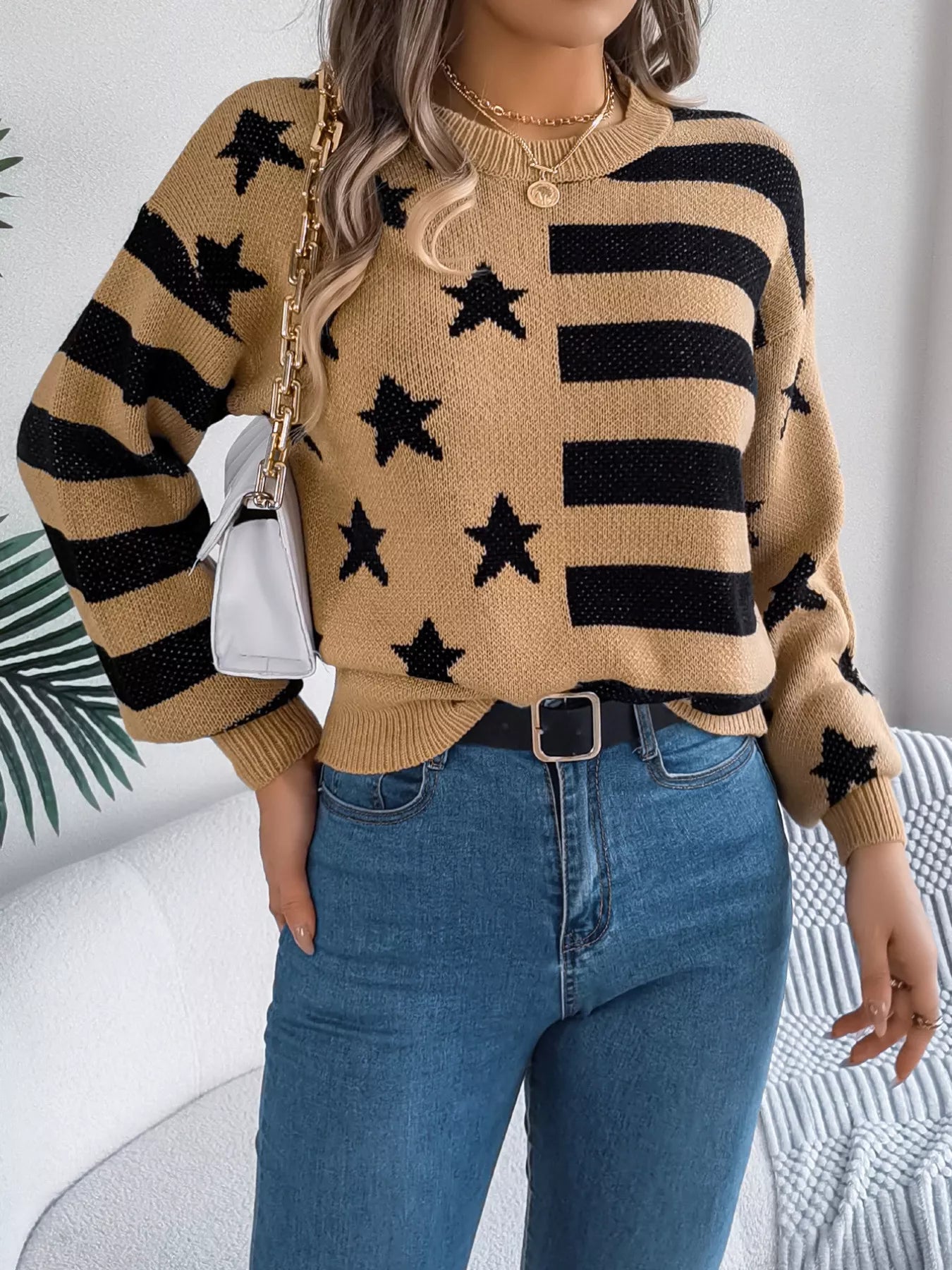 Stars and Stripes Pattern Casual Round Neck Sweater