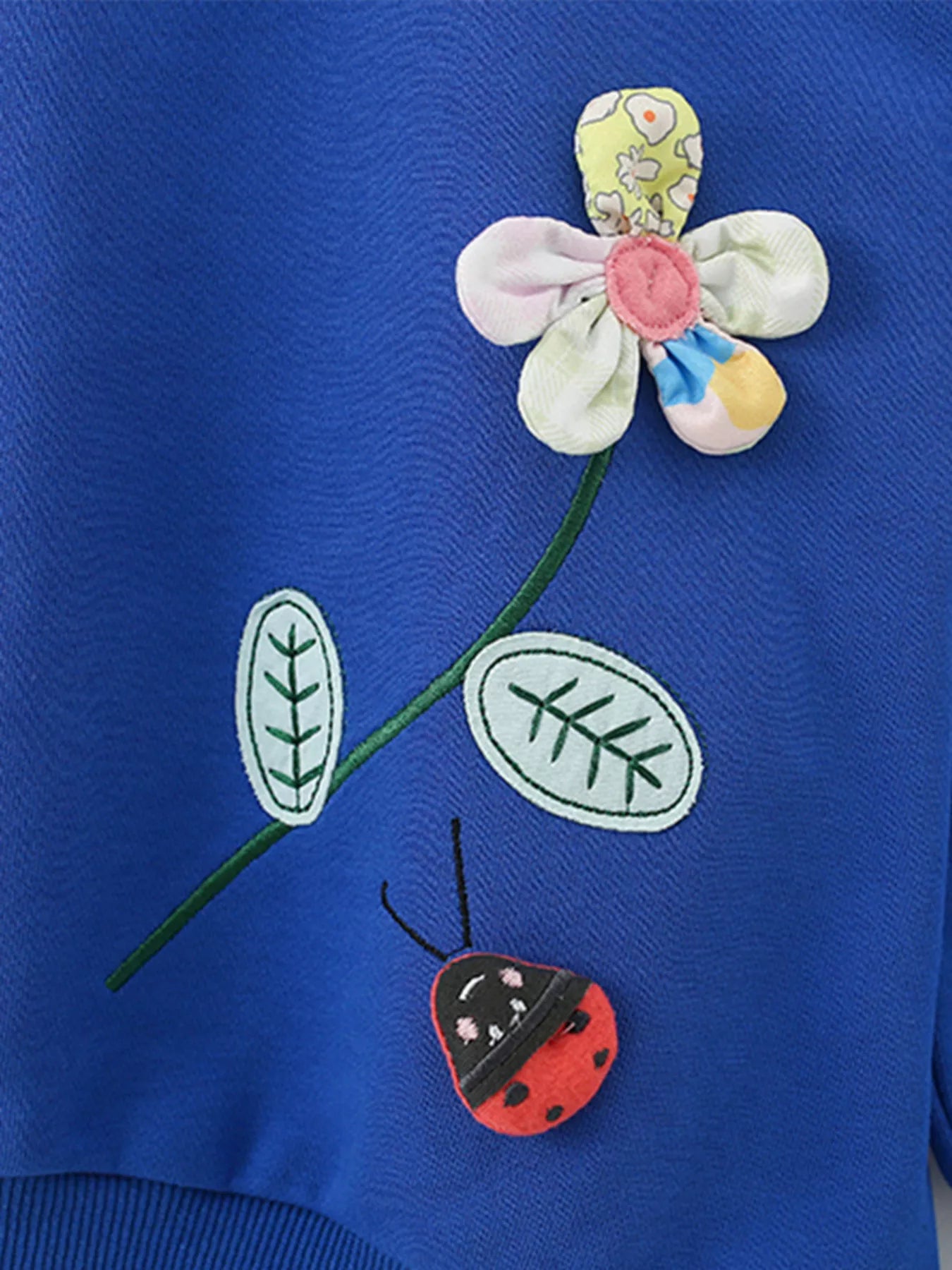 Children's Floral Applique Crew Neck Sweatshirt