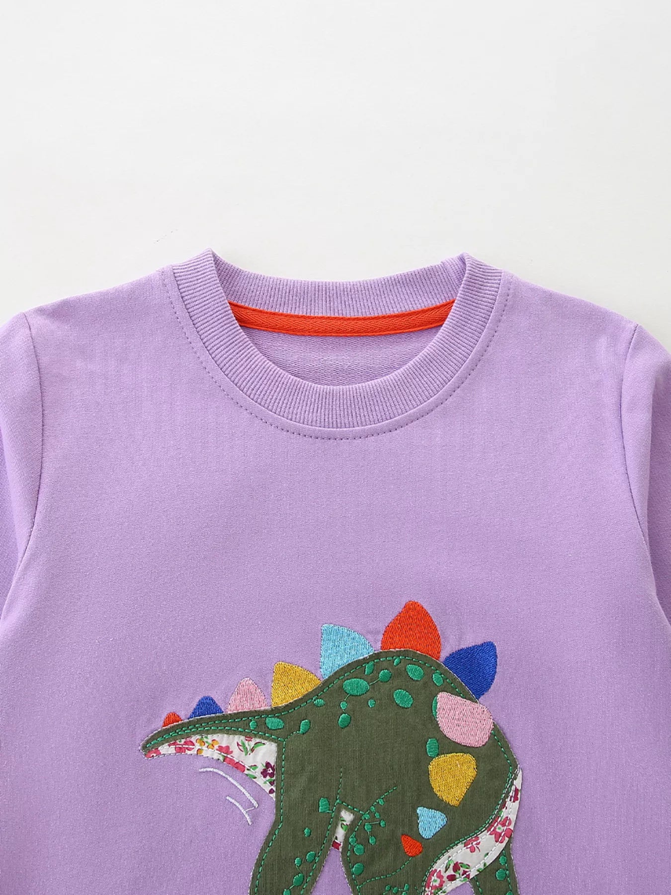 Children's Dinosaur Graphic Round Neck Sweatshirt
