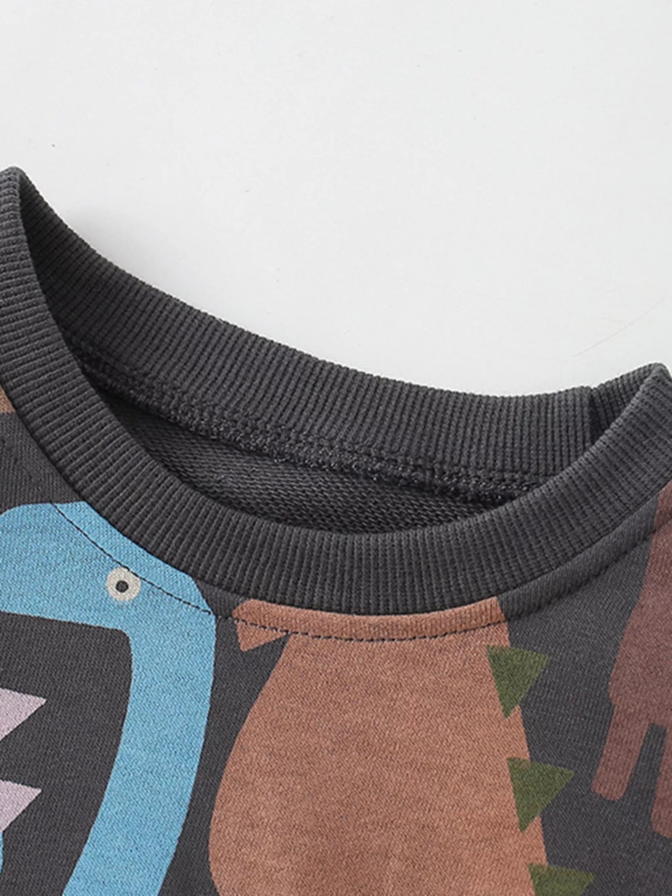Children's Dinosaur Print Crew Neck Sweatshirt