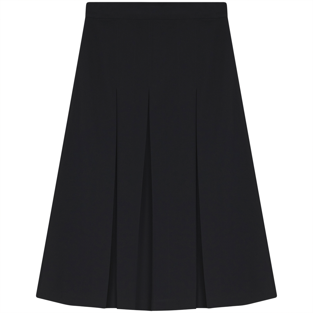 Back Pleat Skirt