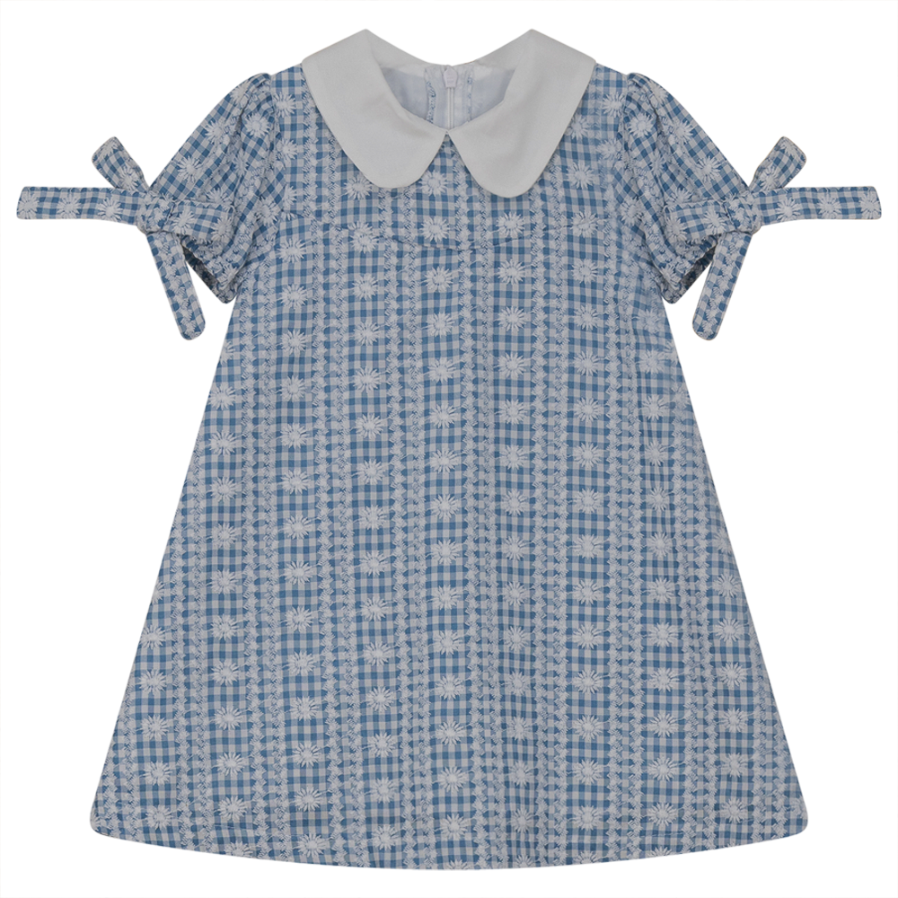 Embroided Gingham Dress Blue Print