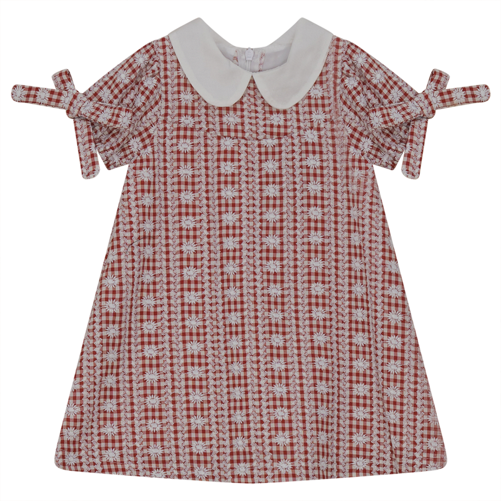 Embroided Gingham Dress Rust Print