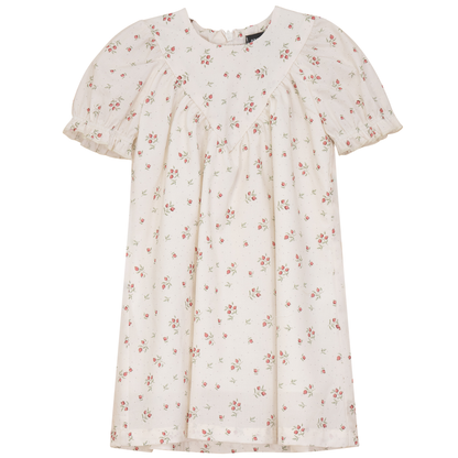 Blueberry Printed Dress Cream Pink