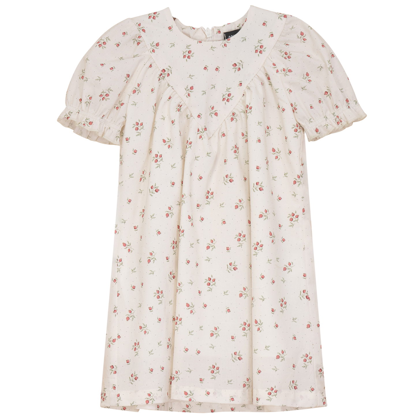 Blueberry Printed Dress Cream Pink