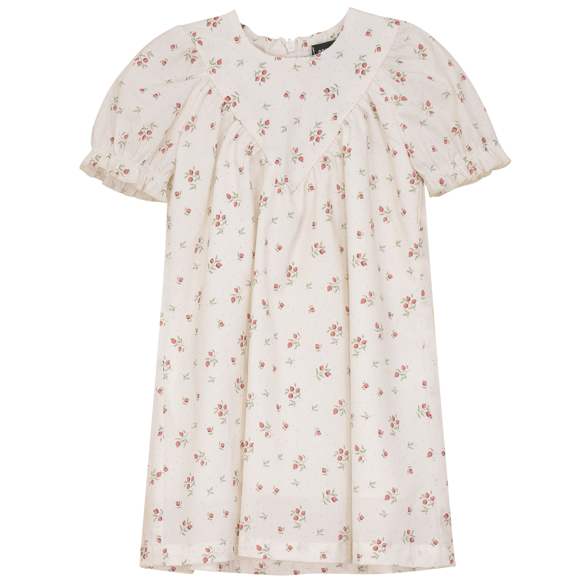 Blueberry Printed Dress Cream Pink