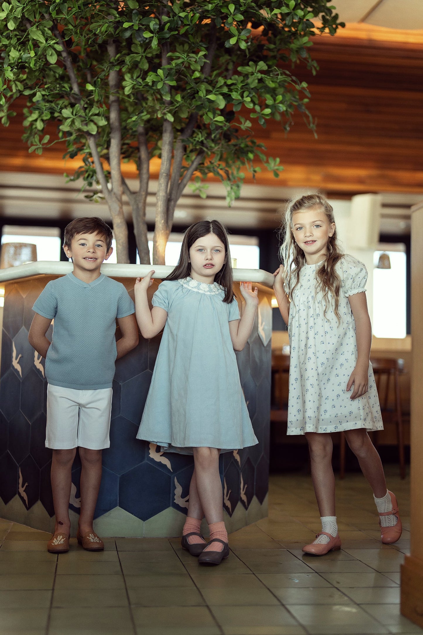 Blueberry Printed Dress