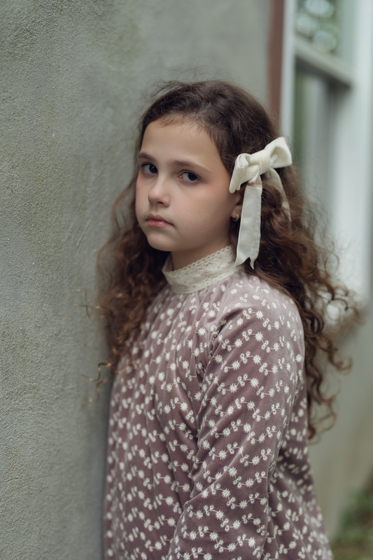 Embroidered Velvet Dress