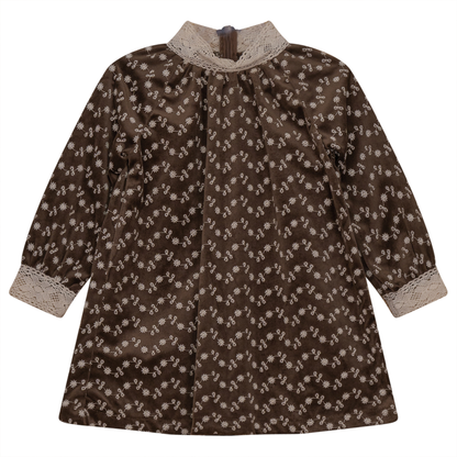 Embroidered Velvet Dress Brown Print