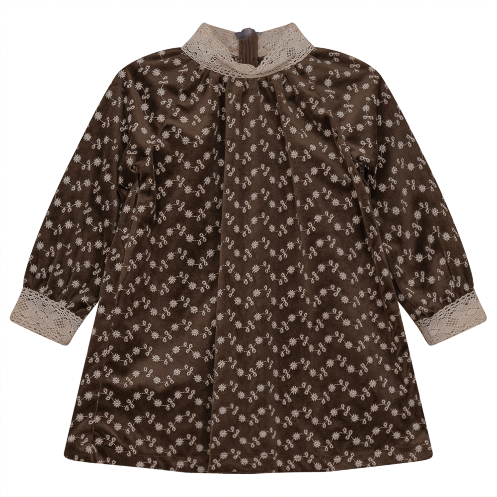Embroidered Velvet Dress Brown Print