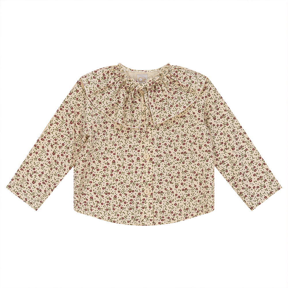 Floral Top with Insert Collar Burgundy Floral