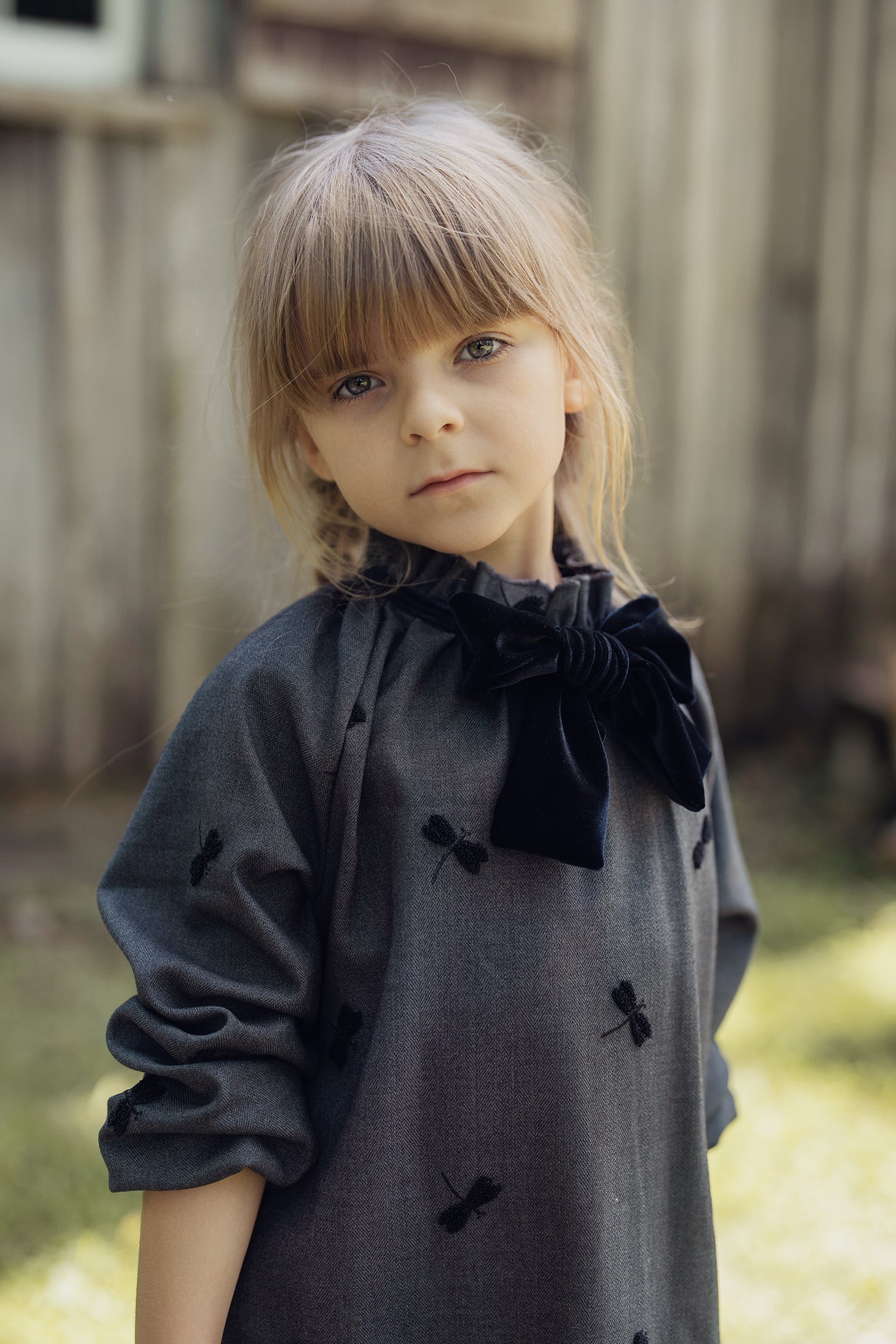 Firefly Applique Dress