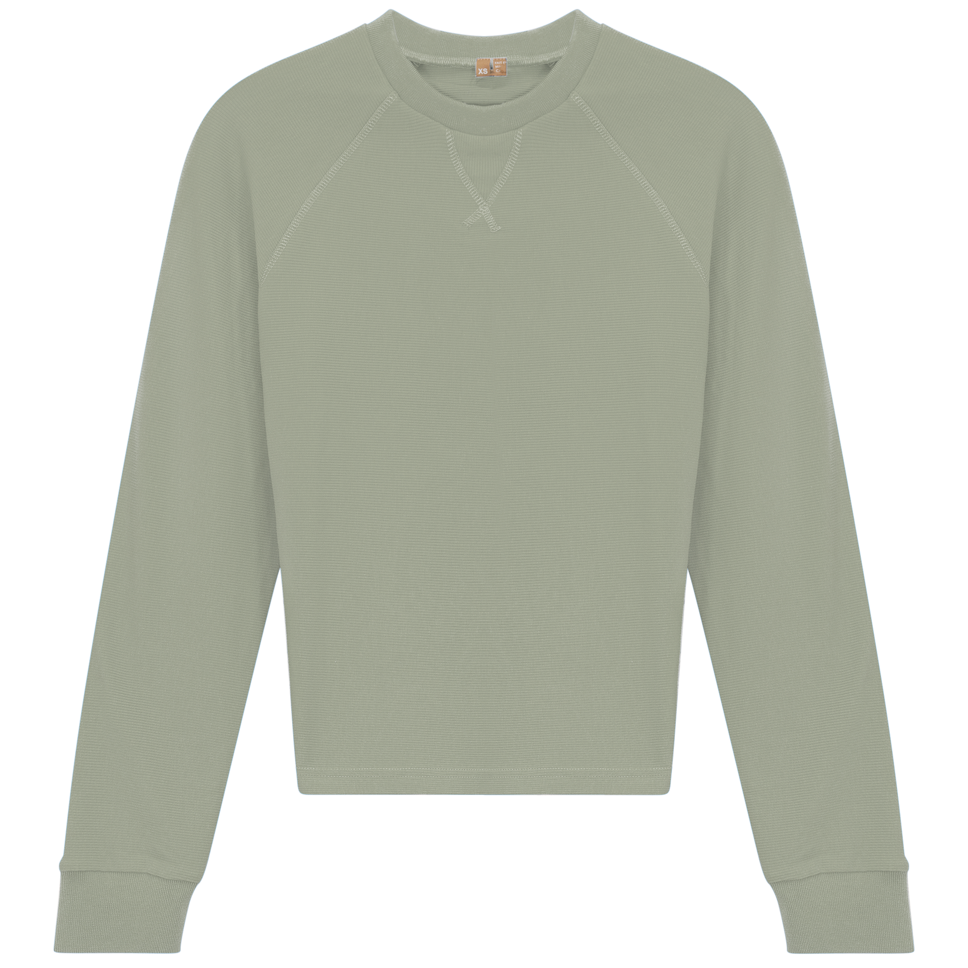 Raglan Sleeves Ribbed Tee Basil