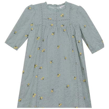 Lace Trim Flower Print Dress