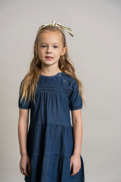 Denim Tiered Dress