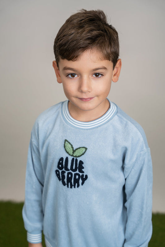 Blue Berry Terry Top