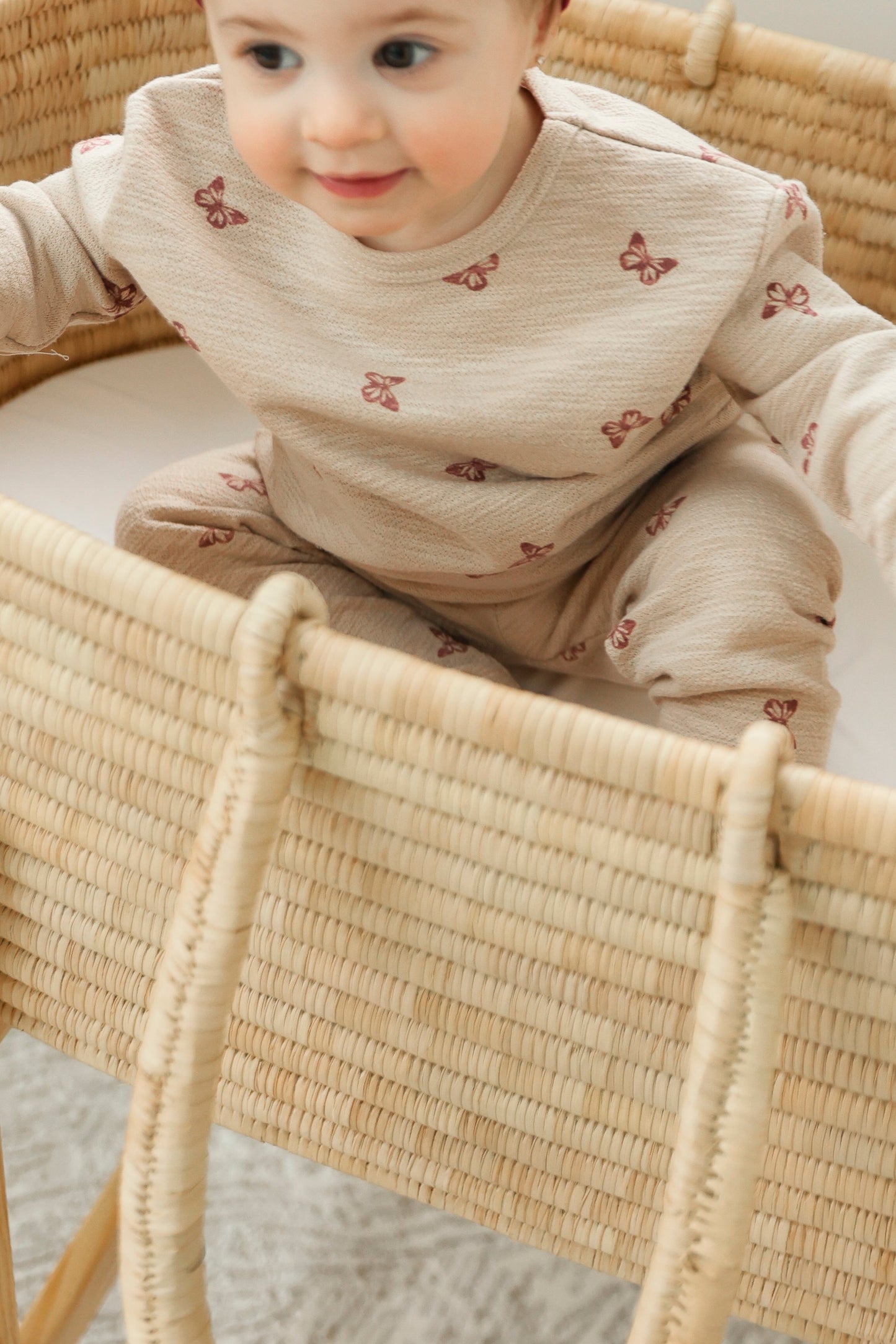 Butterfly Turtle Printed 2Pc Set