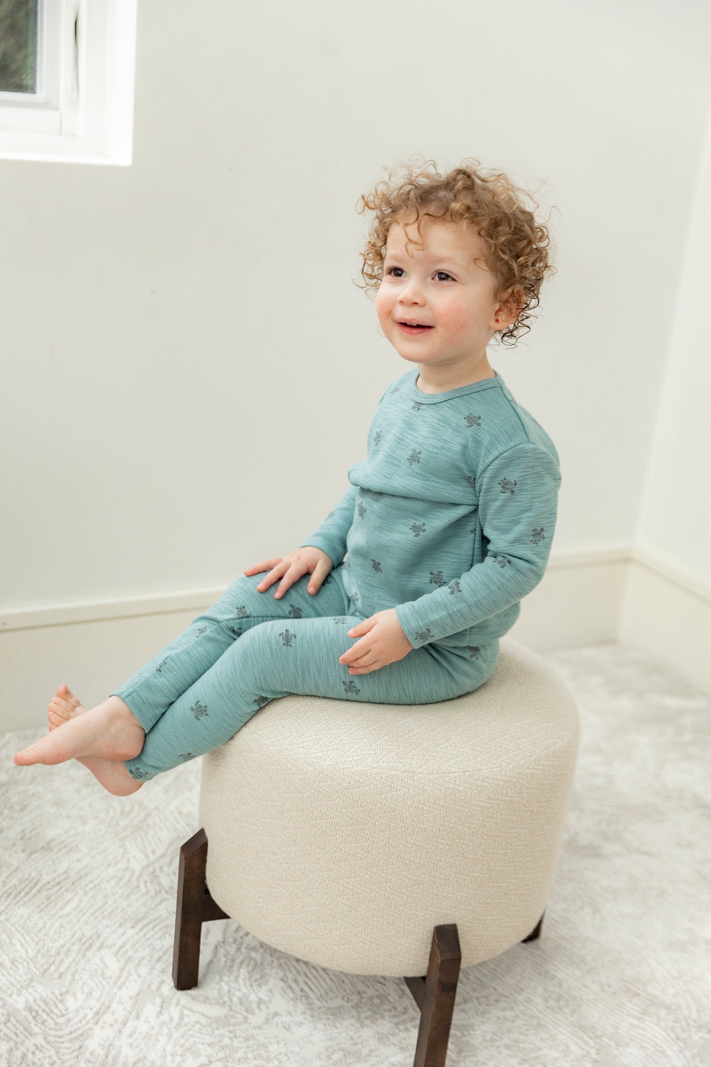 Butterfly Turtle Printed 2Pc Set