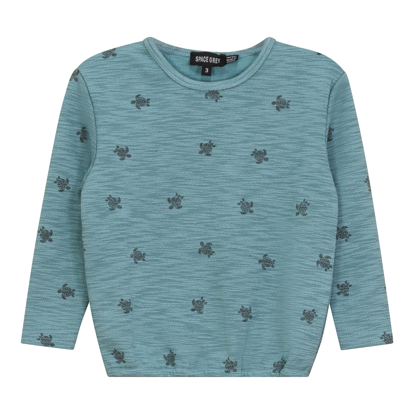 Turtle Printed Sweatshirt Seafoam