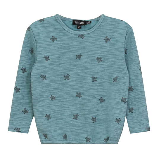 Turtle Printed Sweatshirt Seafoam