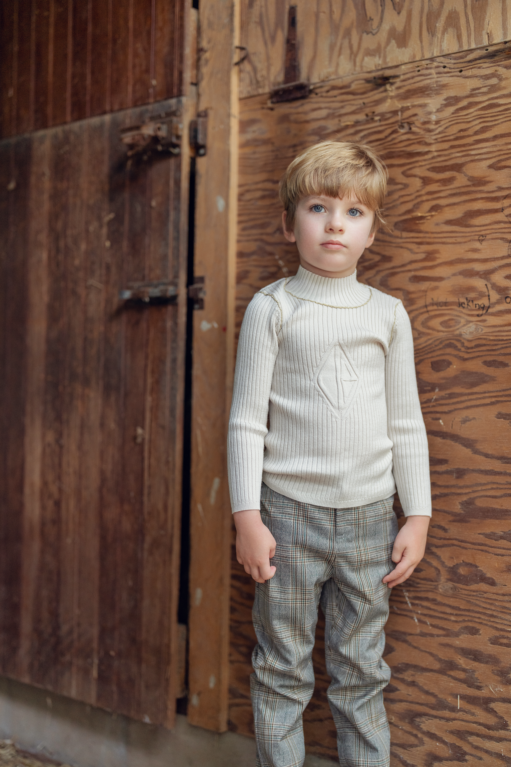 Rib Knit Top With Mock Neck