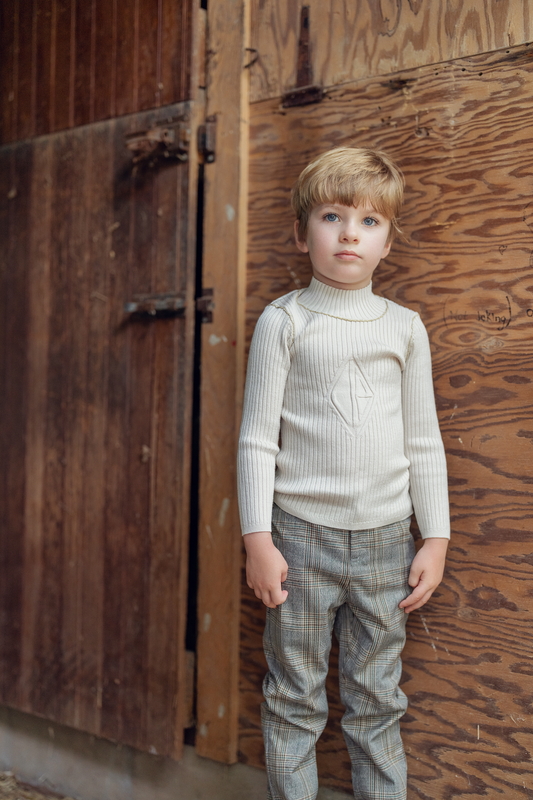 Rib Knit Top With Mock Neck