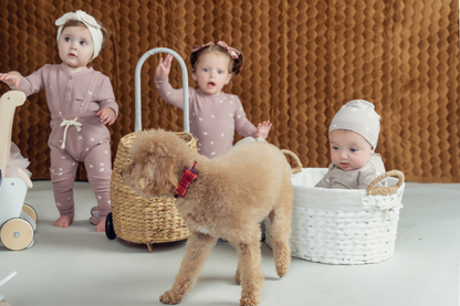 Bird Print Onesie With Hat