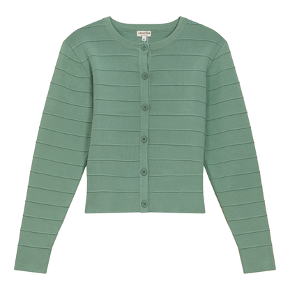 Ribbed Knit Cropped Cardigan Mint