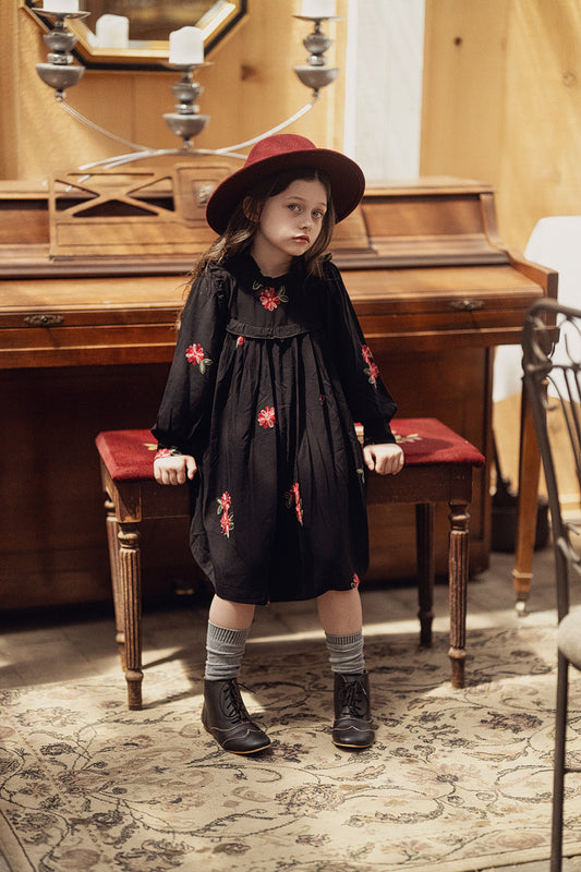 Woven Embroidered Dress