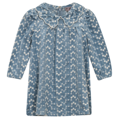 Embroidered Velvet Dress Blue