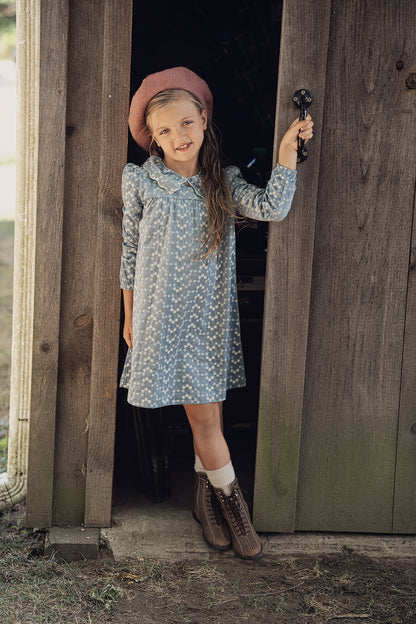 Embroidered Velvet Dress