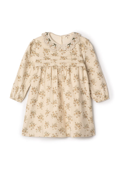 Crochet Collar Dress Dark Almond