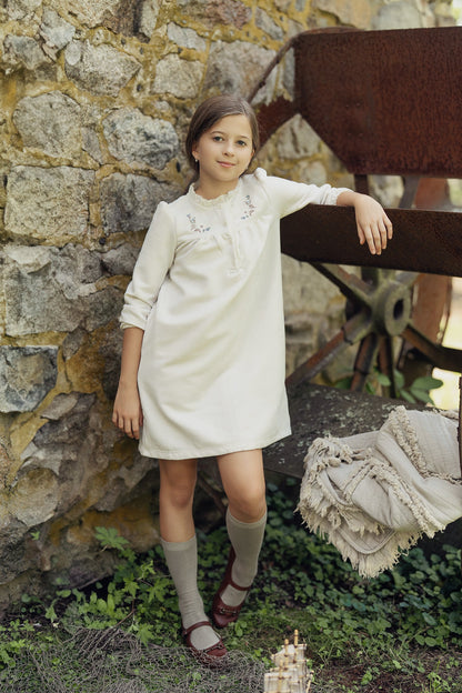 Velvet Embroidered Floral Dress