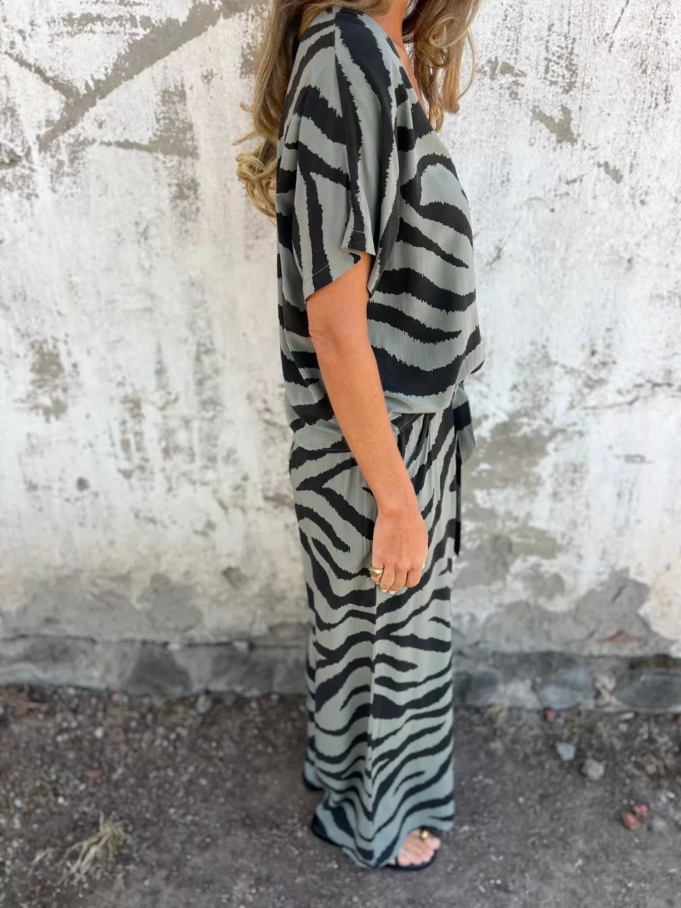 Zebra Print V-Neck Top and Pants Set