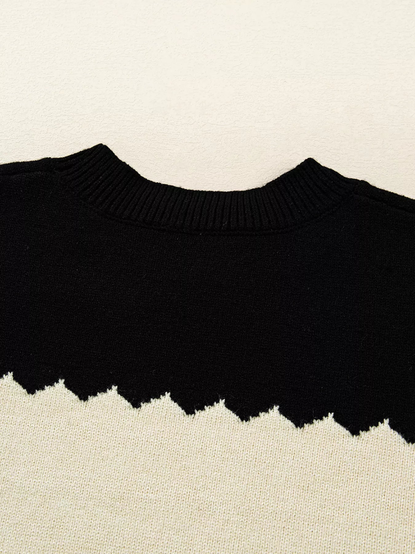 Color Block Crew Neck Drop Shoulder Sweater