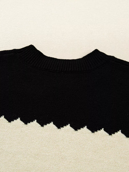 Color Block Crew Neck Drop Shoulder Sweater