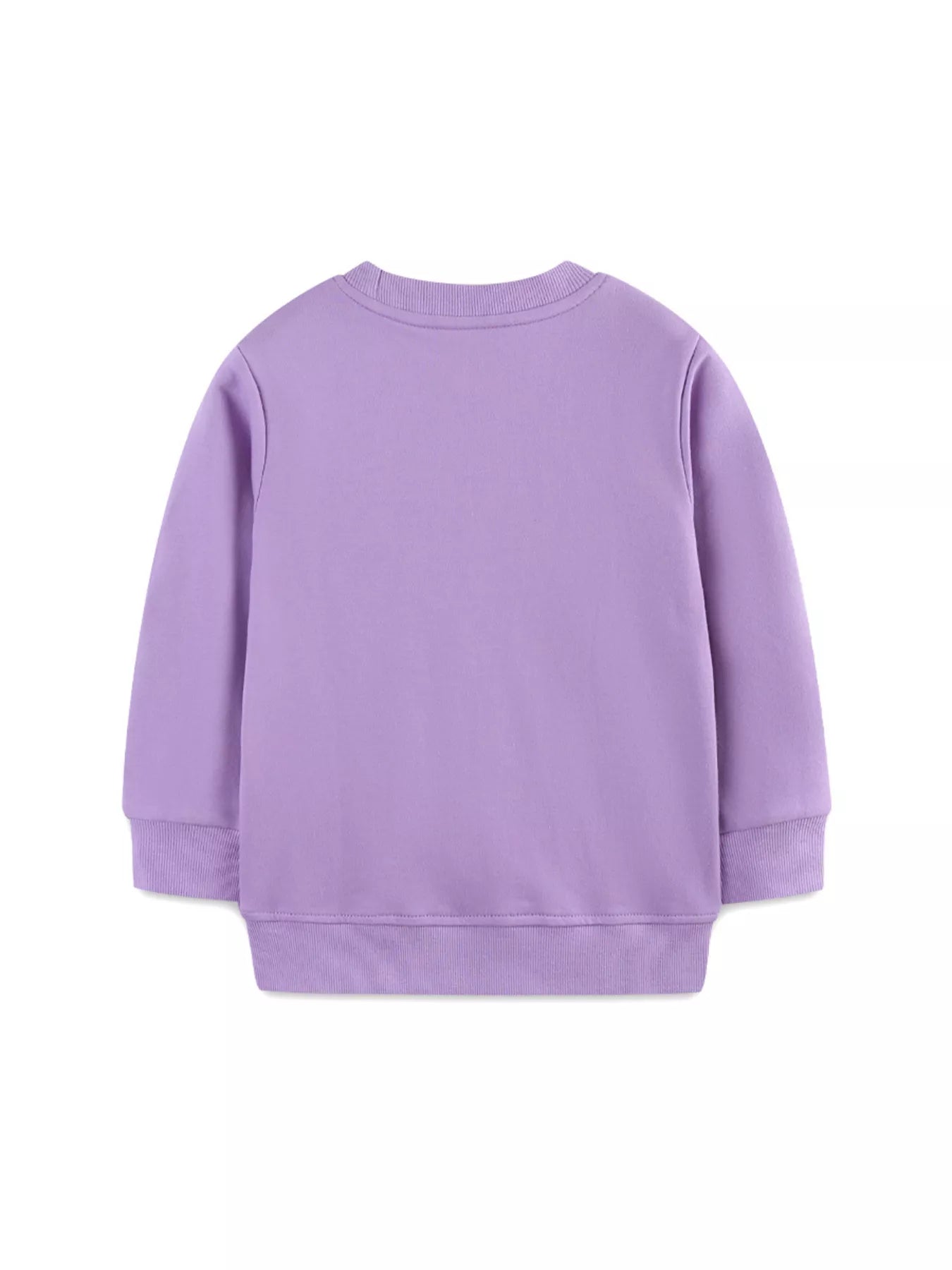 Children's Dinosaur Graphic Round Neck Sweatshirt