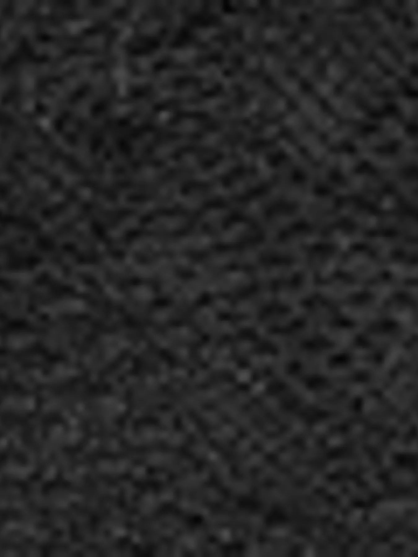 Lace V-Neck Long Sleeve T-Shirt