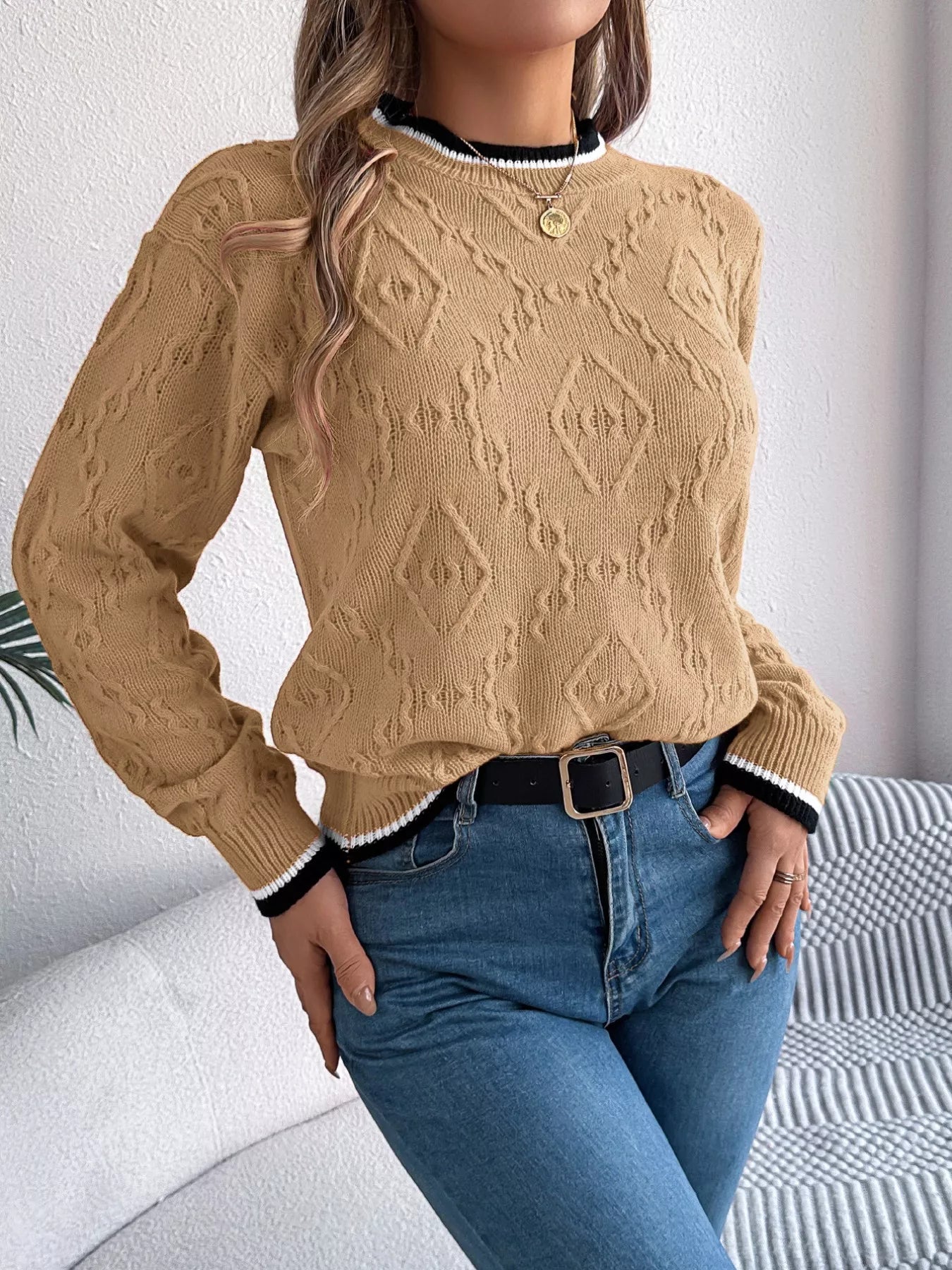 Contrast Trim Round Neck Sweater